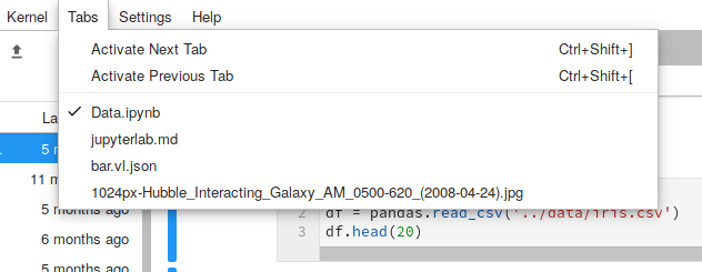 ../_images/interface_tabs_menu.png