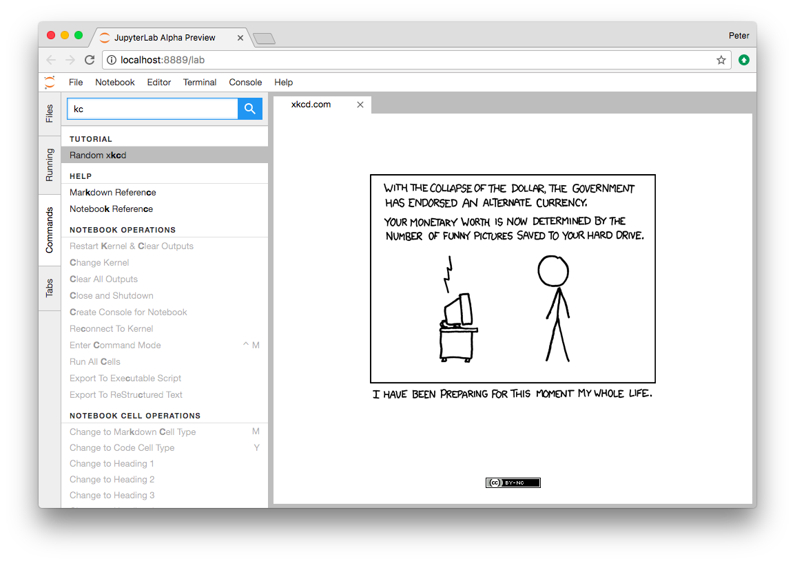 Completed xkcd extension screenshot
