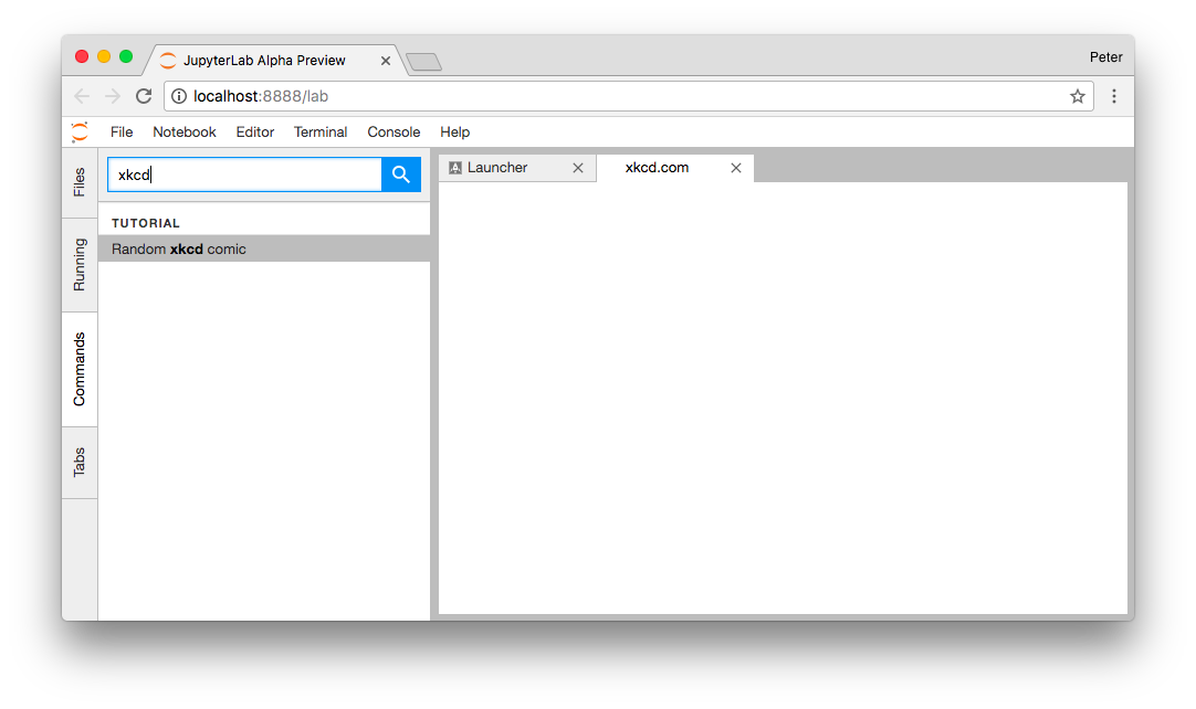Empty xkcd extension panel