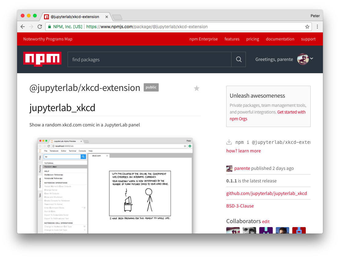 Extension page on npmjs.com