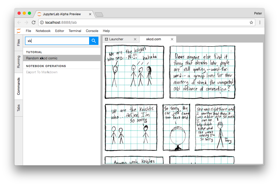 Single xkcd extension panel